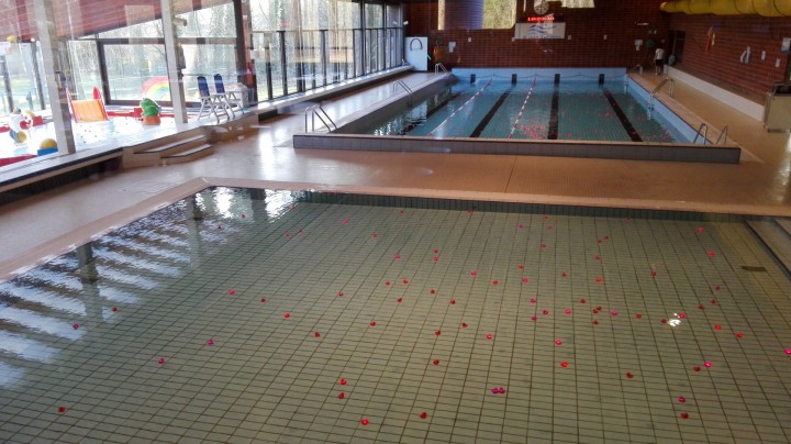 foto instructiebad Arendonks zwembad