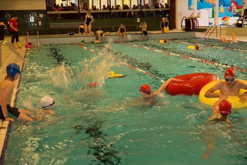 foto groot zwembad Arendons zwembad